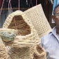 যশোরে তৈরি পাখির বাসা রপ্তানি হচ্ছে ইউরোপের ৬ দেশে
