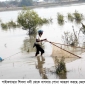 উপকূলীয় নদ-নদীতে নিষিদ্ধ নেটজাল দিয়ে বাগদা ও পারশের পোনা আহরণ; বিভিন্ন প্রজাতির মাছের পোনা ধ্বংস