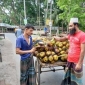 গরমে তাল শাঁসের চাহিদা বেড়েছে