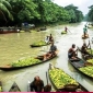 জমে উঠেছে ঝালকাঠির ভাসমান পেয়ারার হাট