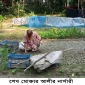 পাইকগাছায় নার্সারী ব্যবসায়ীকে প্রাণনাশের হুমকি; থানায় জিডি
