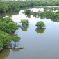 জলাভূমি বাংলাদেশের প্রাণ