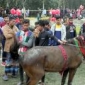 ৩৬৬তম ঘোড়াদৌড় প্রতিযোগিতায় ১০ গ্রামের মিলনমেলা, ২দিনব্যাপী পৌষসংক্রান্তি মেলা