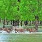 সুন্দরবন পর্যটন শিল্প; সমস্যা ও সম্ভবনা