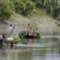 কাল শুরু হচ্ছে সুন্দরবনে গোলপাতা আহরণ মৌসুম