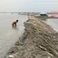 ঘূর্ণিঝড় রেমান এর চোখ রাঙানীতে উপকূলের মানুষ আতঙ্কিত