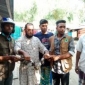 মাগুরায় তাৎক্ষণিক উদ্যোগে বেঁচে গেল বিলুপ্তপ্রায় ঈগল পাখির বাচ্চাটি