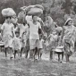 শরণার্থী