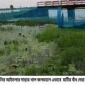 আশাশুনির আইতলার দাড়ার খাল জলমহলের ইজারা বাতিলের আবেদন