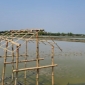 পাইকগাছায় মৎস্য ঘের জবরদখলের চেষ্টা; থানায় অভিযোগ