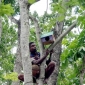 পাখি বাসা বাঁধতে গাছে মাটির পাত্র