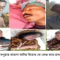 পাইকগাছায় জমি বিরোধ নিয়ে হামলা ও মারপিটের ঘটনায় আহত ১০