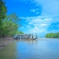 মাইক্রোপ্লাস্টিক হতে সুন্দরবনকে রক্ষা করতে হবে