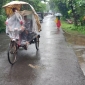 আষাঢ়ের টানা বৃষ্টিতে উপকূলীয় পাইগাছার জনজীবন বিপর্যস্ত