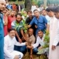 শ্রীপুরে কৃষকদলের উদ্যোগে বৃক্ষরোপণ কর্মসূচি পালিত