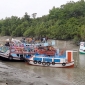 তিন মাসের জন্য সুন্দরবনে প্রবেশে নিষেধাজ্ঞা