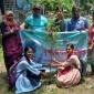 পাইকগাছায় বনবিবির উদ্যোগে বৃক্ষরোপন