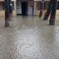 ভারী বর্ষণে উপকূলের পাইকগাছার নিন্মাঞ্চল প্লাবিত; ফসলের ক্ষতি বেড়েছে জনদূর্ভোগ