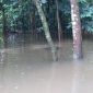 ভারী বর্ষণে পাইকগাছায় বেড়েছে জনদূর্ভোগ; নিন্মাঞ্চল প্লাবিত ও ফসলের ক্ষতি