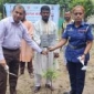 মাগুরায় জুলাই শহিদদের স্মরণে ১০টি বৃক্ষরোপন