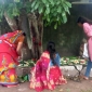 পাইকগাছায় মনসা পূজা অনুষ্ঠিত