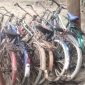 পাইকগাছায় ৭টি চোরাই বাইসাইকেল উদ্ধার করল পুলিশ ;গ্রেপ্তার-২
