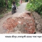 শ্রীপুরের সোনাতুন্দী গ্রামের  সড়কের বেহাল দশা,ভারী যান চলাচল বন্ধ