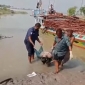 পাইকগাছায় নদী থেকে অজ্ঞাত ব্যক্তির লাশ উদ্ধার