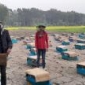 মাগুরায় মধু চাষে বাজিমাত আলামিনের