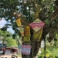 গাছে পেরেক লাগালে ২০ হাজার টাকা জরিমানা