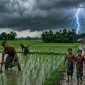 বজ্রপাতে ঝুঁকিতে মাঠের কৃষক