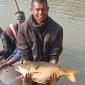 দেশীয় প্রজাতির মাছ চাষে ইন্দ্রজিতের নতুন দৃষ্টান্ত
