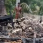 পাইকগাছায় বাক প্রতিবন্ধী বসত ঘর আগুনে পুড়ে ছাই