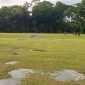 গদাইপুর ফুটবল খেলার মাঠে কোরবানীর পশু হাট বসানো বন্ধ করতে উপজেলা নির্বাহী অফিসারে কাছে অভিযোগ