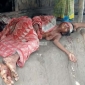 পাইকগাছায় বৃদ্ধা নারীকে কুপিয়ে জখম করল দুর্বৃত্তরা