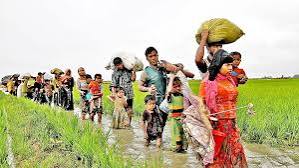 ---