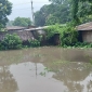 আষাঢ়ের শেষে টানা বৃষ্টিতে পাইগাছার জনজীবন বিপর্যস্ত