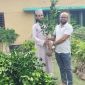 পাইকগাছায় কৃষি বিভাগের চারা বিতরন কর্মসূচি