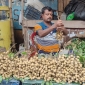 মাগুরায় ক্রেতাদের নজর কেড়েছে মৌসুমী আশফল