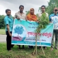 পাইকগাছায় বনবিবির উদ্যোগে বৃক্ষরোপন