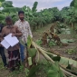 মাগুরায় কৃষকের জমি দখল, প্রাণনাশের হুমকির অভিযোগ