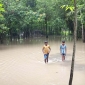শ্রাবণের ভারী বর্ষণে পাইকগাছার নিন্মাঞ্চল প্লাবিত; বেড়েছে জনদূর্ভোগ
