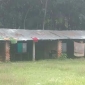 পাইকগাছায় আলহেরা দাখিল মাদ্রাসায় কোন শিক্ষার্থী না থাকলেও শিক্ষক -কর্মচারী রয়েছে ১৭ জন