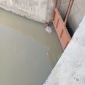 পাইকগাছায় নদীতে ভাসমান অজ্ঞাত ব্যক্তির মরদেহ উদ্ধার