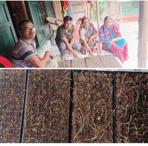 ---