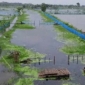 বিল ডাকাতিয়ার স্থায়ী জলাবদ্ধতা; কৃষকের কান্না