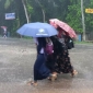 বঙ্গোপসাগরে সৃষ্ট নিম্নচাপ ও বৃষ্টিতে পাইকগাছায় বেড়েছে জনদুর্ভোগ