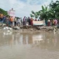 নড়াইলের বড়দিয়ায় নদীভাঙন রোধে ব্যবসায়ী ও এলাকাবাসীর মানববন্ধন